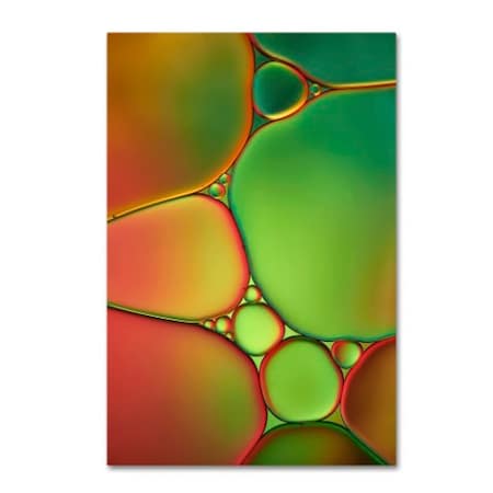 Cora Niele 'Stained Glass II' Canvas Art,22x32